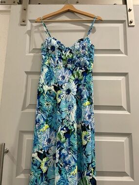 Hello Molly “by the garden” Maxi Dress M/10